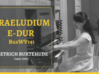 YouTube新作動画「オルガン便り」始動！